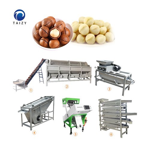 Macadamia Nuts Production Line